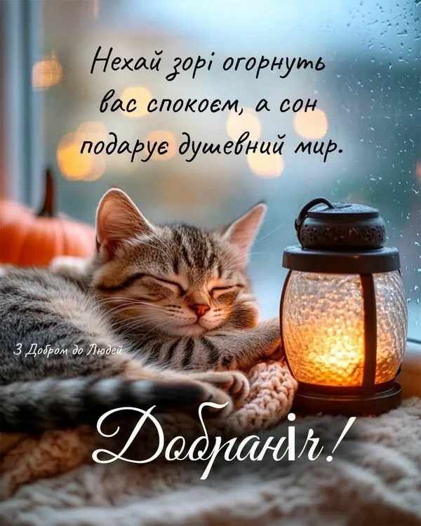 картинка на добраніч